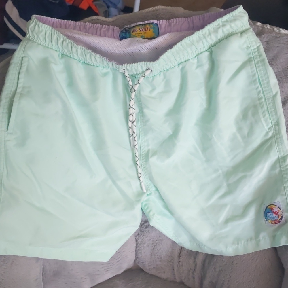 Surf society men's swim shorts size large. Mint color